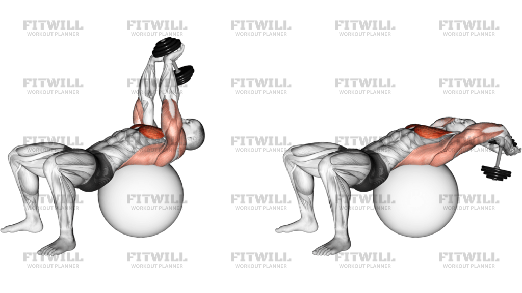 Dumbbell Pullover On Exercise Ball
