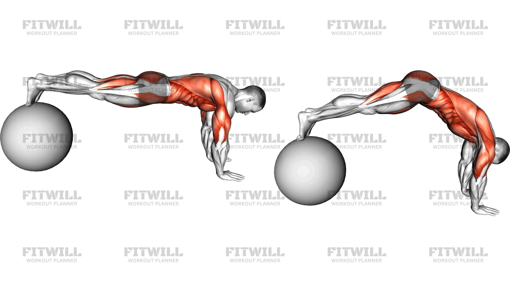 Exercise Ball Pike Push-Up