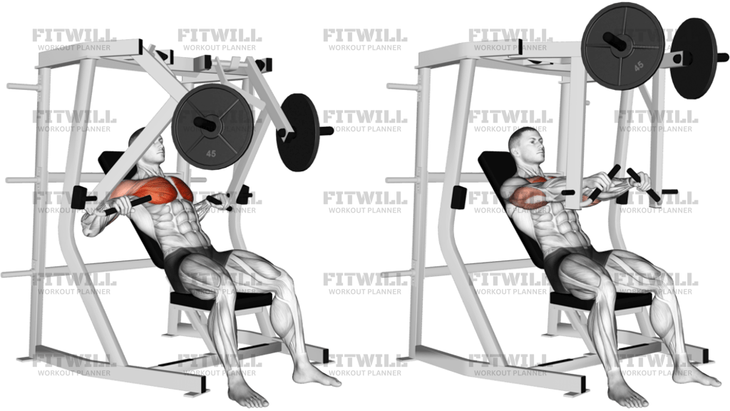 Lever Decline Chest Press