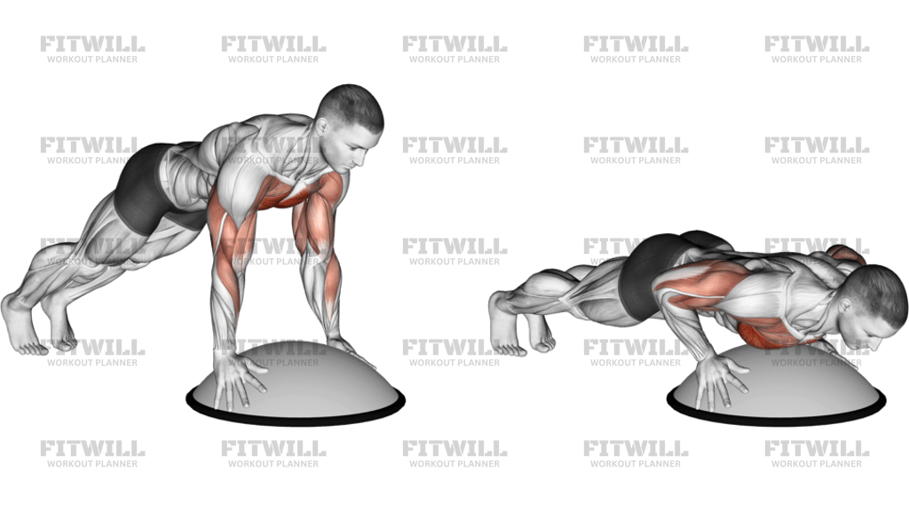 Push-Up On Bosu Ball