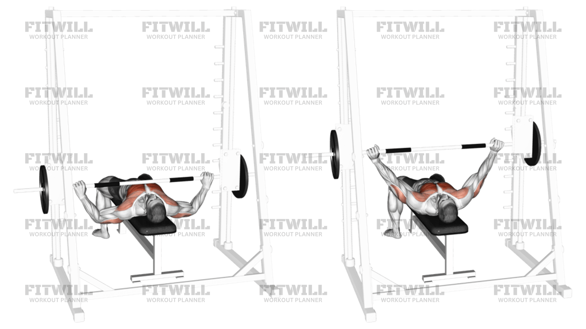 Smith Wide Grip Bench Press Exercise Guide, Techniques, Benefits, How