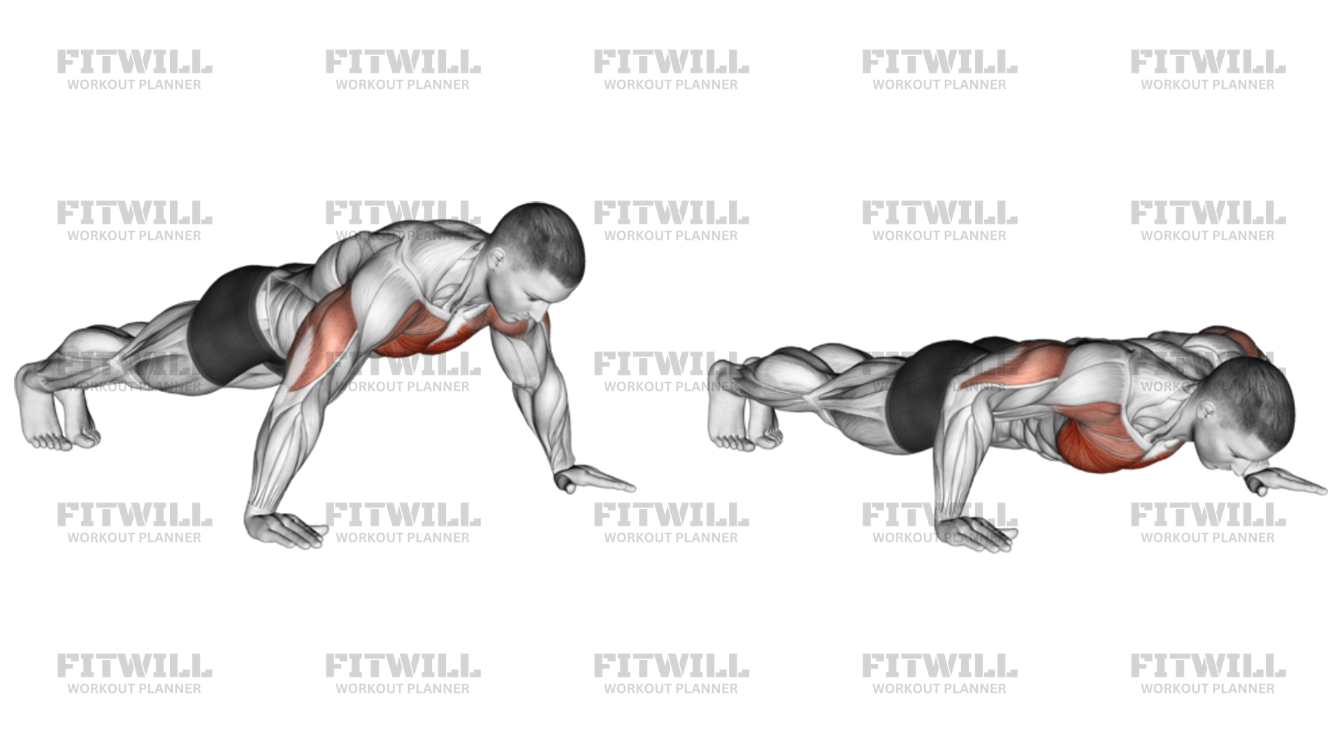 Wide grip push ups discount