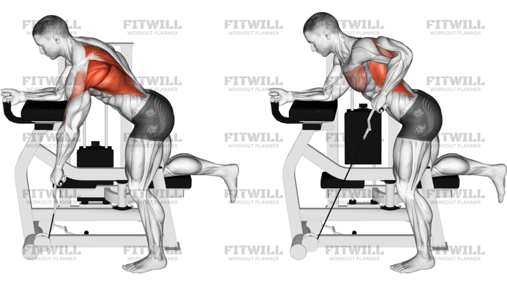 Lever Unilateral Row