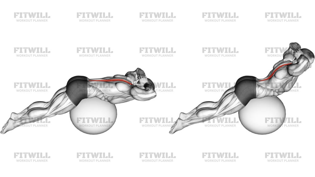Back Extension On Exercise Ball