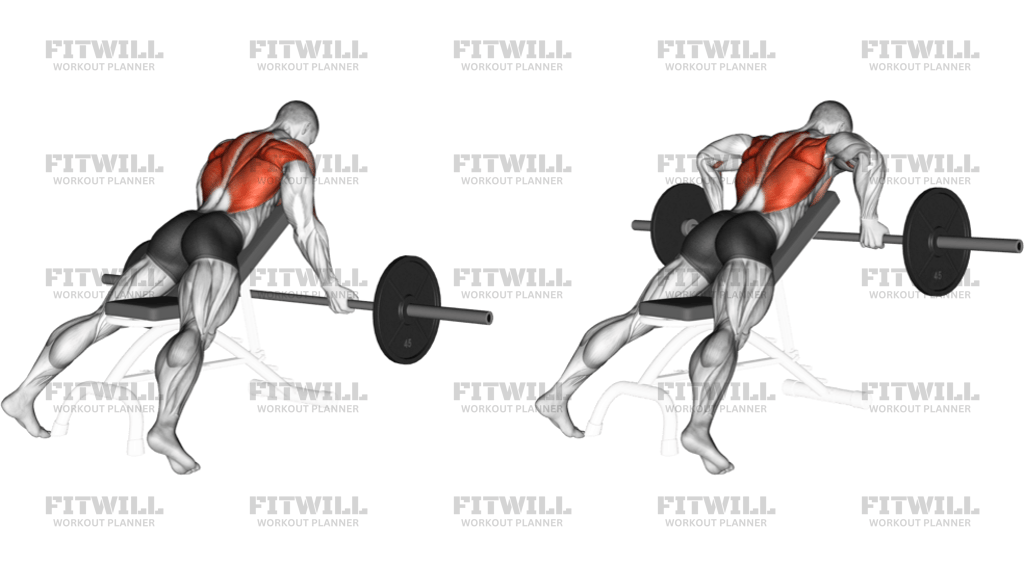 Barbell Reverse-Grip Incline Bench Row