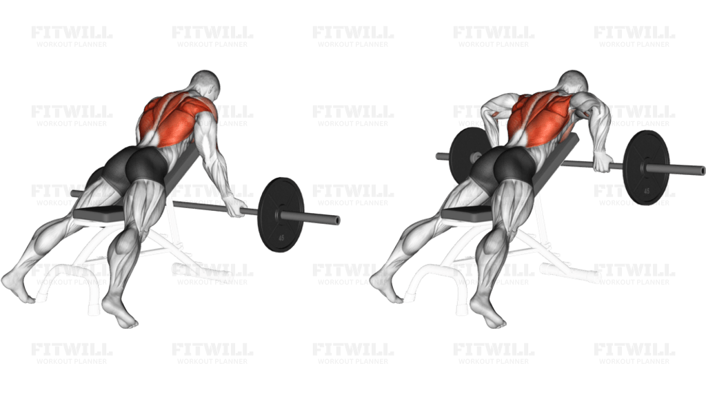 Barbell Reverse Grip Incline Bench Row