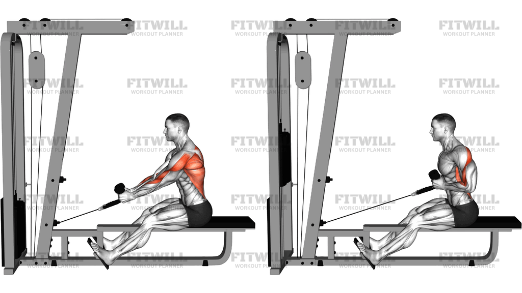 Cable Rope Elevated Seated Row