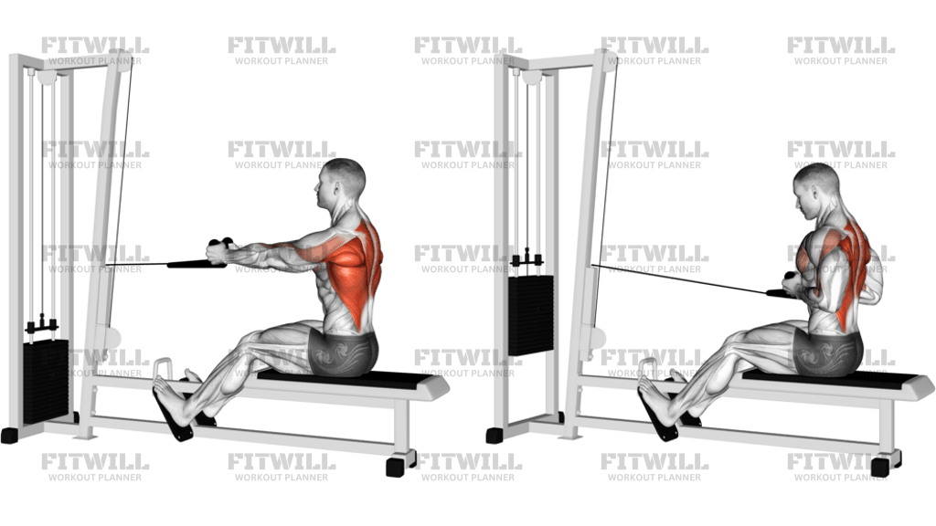 Cable Rope Seated Row