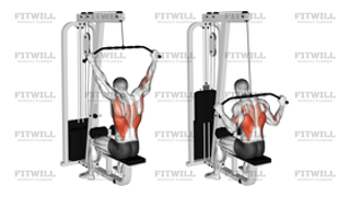 Cable Wide-Grip Rear Pulldown Behind Neck