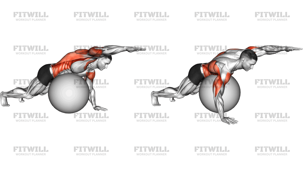 Exercise Ball Alternating Arm Ups