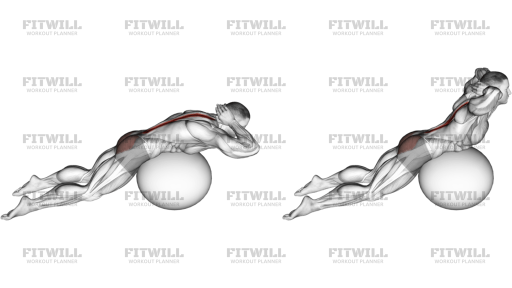 Exercise Ball Back Extension With Hands Behind Head