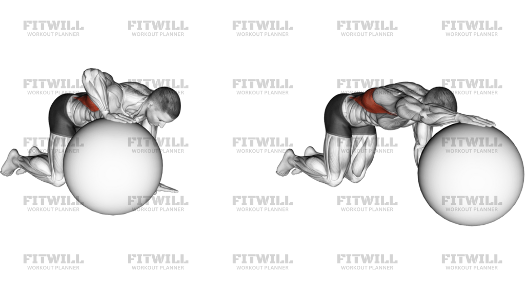 Exercise Ball Lat Stretch
