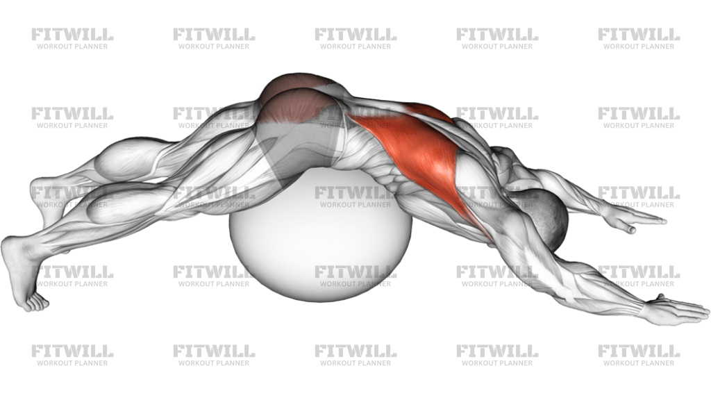 Exercise Ball Lower Back Prone Stretch: Exercise Guide, Techniques ...