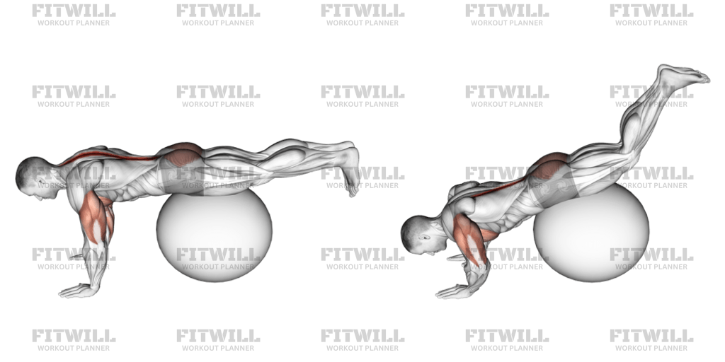 Exercise Ball Prone Leg Raise Exercise Guide Techniques Benefits