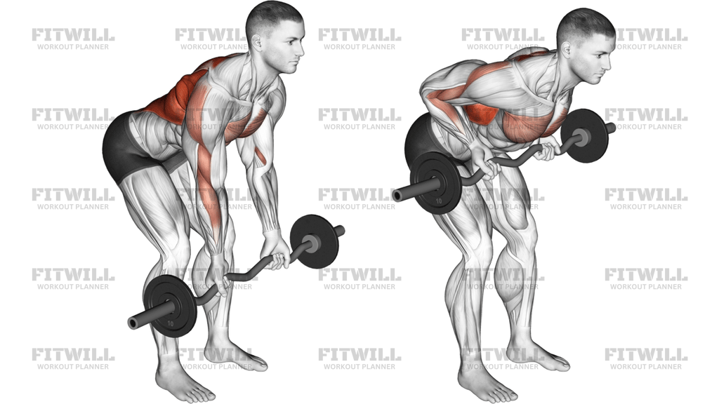 EZ Bar Reverse-Grip Bent-Over Row