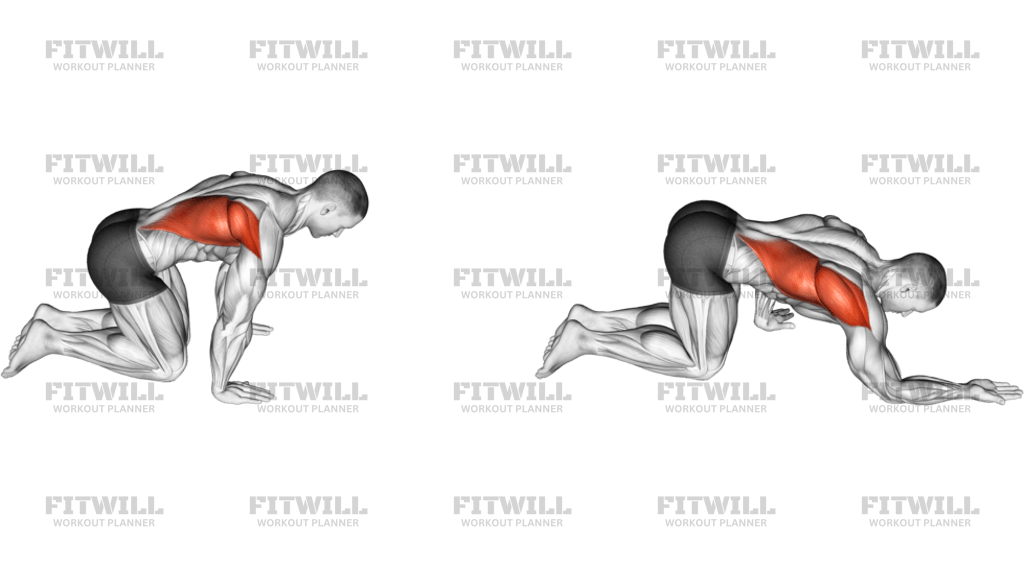 Kneeling Lat Stretch