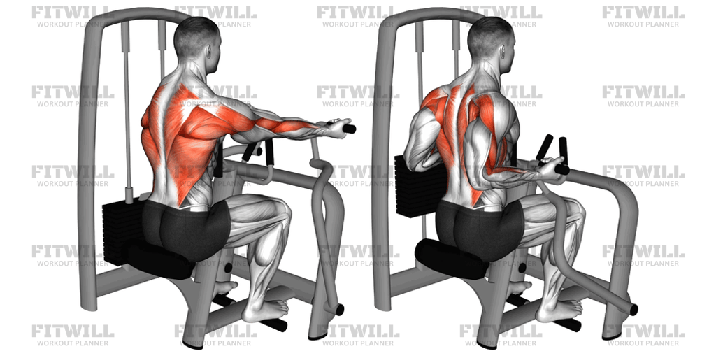 Lever Reverse-Grip Vertical Row: Exercise Guide, Techniques, Benefits ...