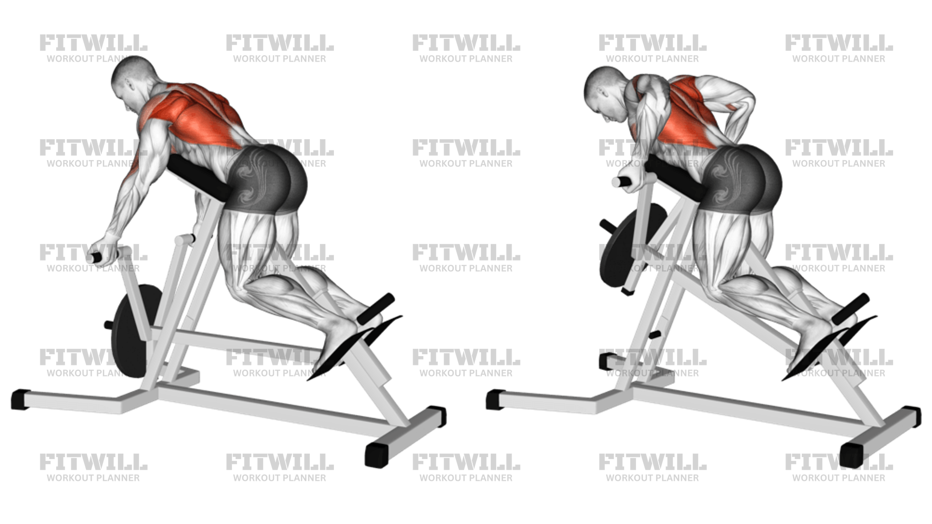 Lever Reverse T-Bar Row: Exercise Guide, Video, Techniques, Benefits ...