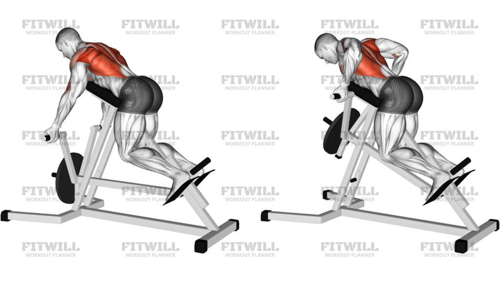 Lever Reverse T-Bar Row