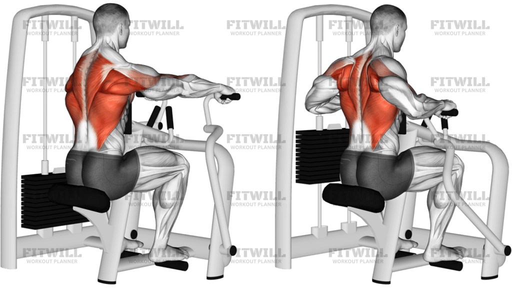 Lever Seated Row