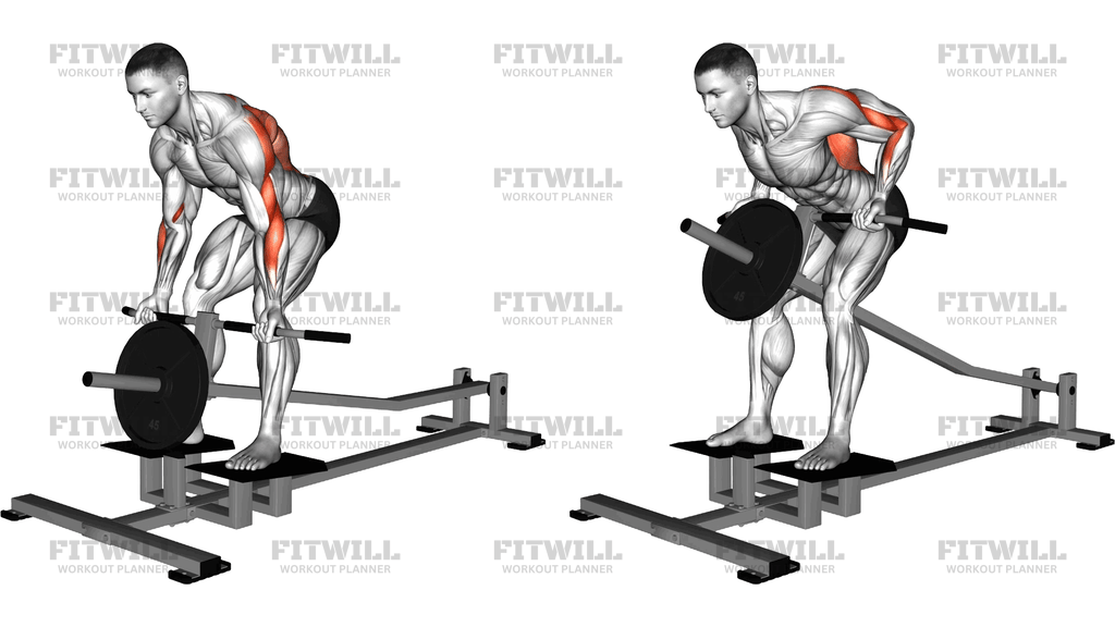 Lever T-Bar Reverse-Grip Row