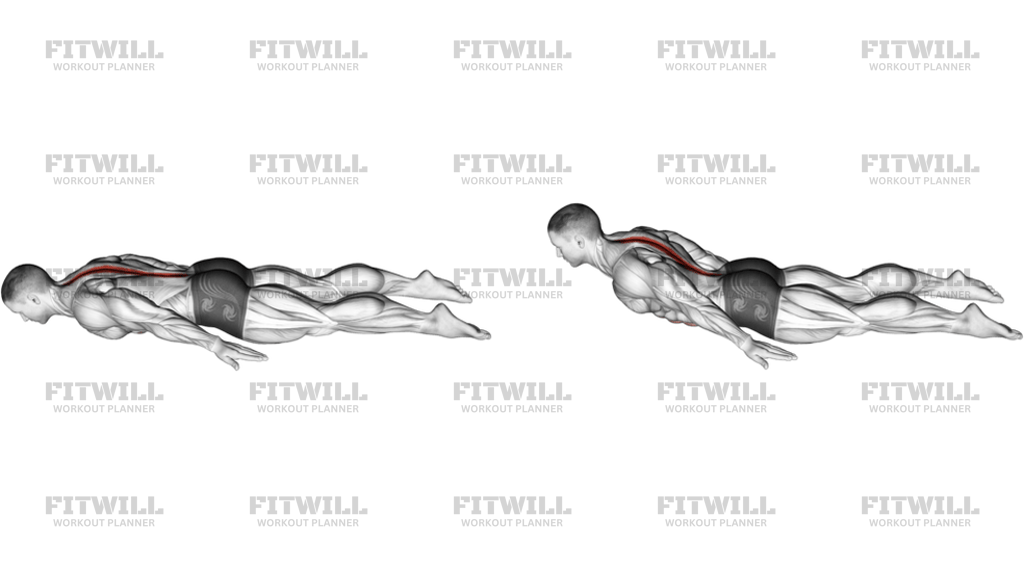 Bodyweight Lying Lower Back Curl
