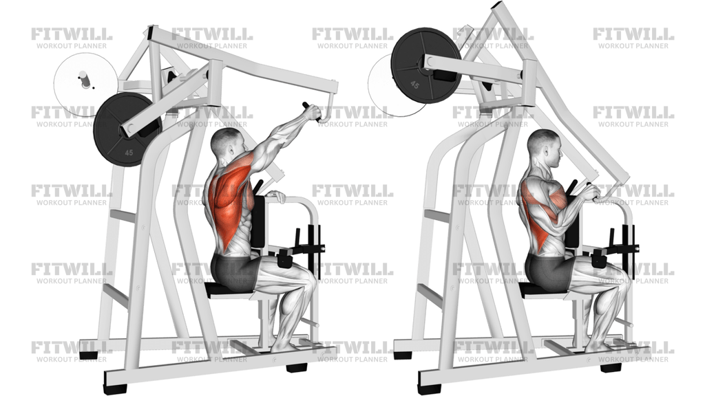 Lever One-Arm Lateral High Row