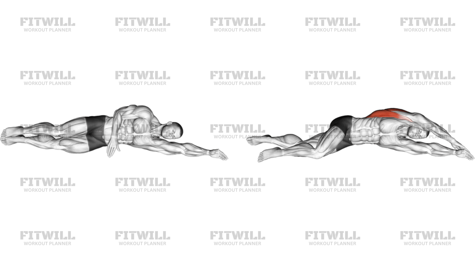 Side Lying Floor Stretch: Exercise Guide, Techniques, Benefits, How to ...