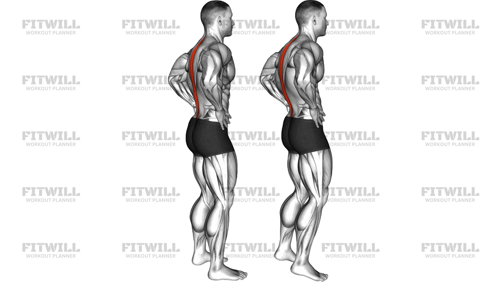 Standing Pelvic Tilt