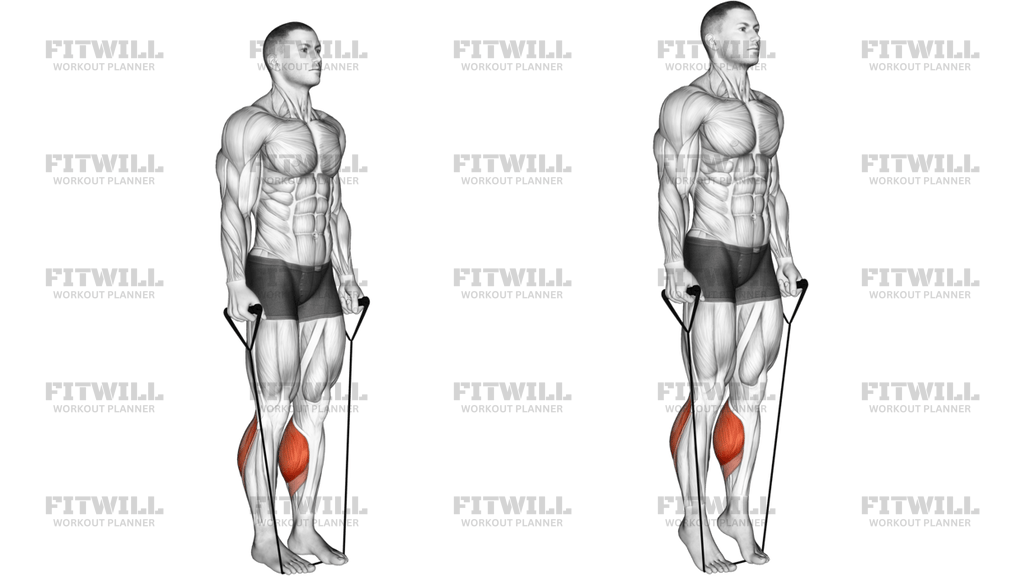 Band Two Legs Calf Raise Band Under Both Legs Version 2