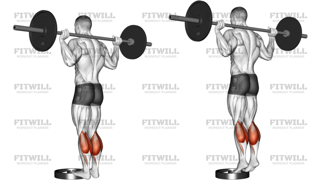 Barbell Standing Calf Raise