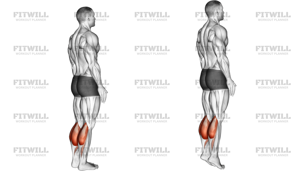 Standing Calf Raise