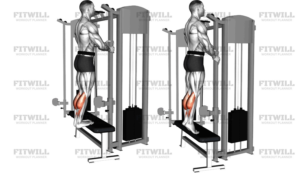 Cable Standing Calf Raise