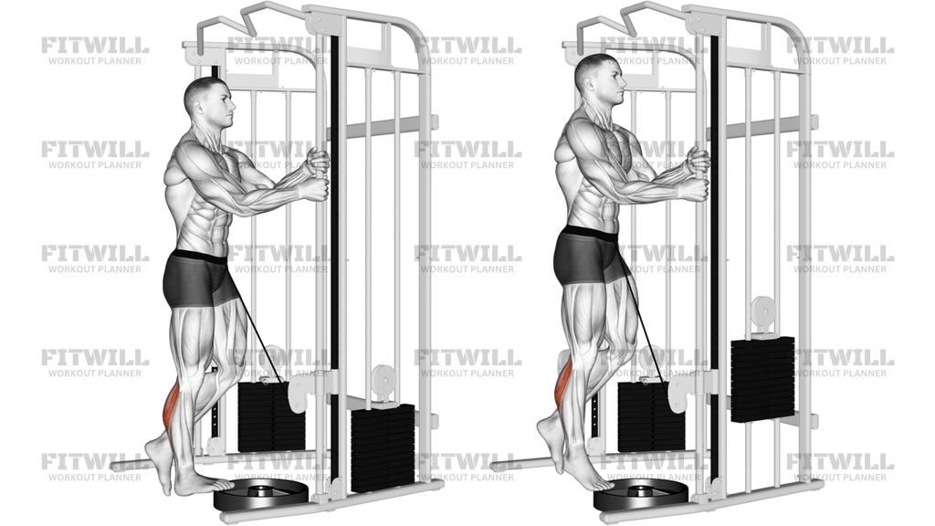Cable Standing One Leg Calf Raise