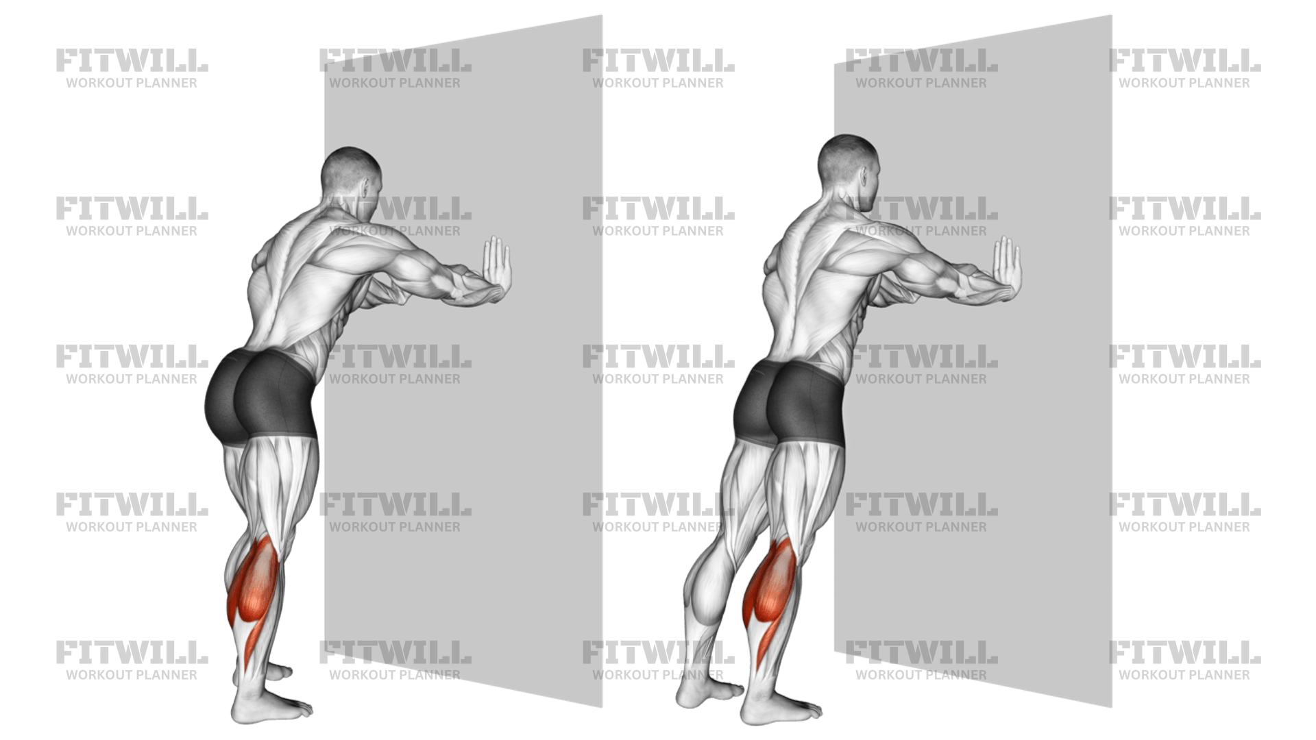 Calf Stretch With Hands Against Wall: Exercise Guide, Video, Techniques ...