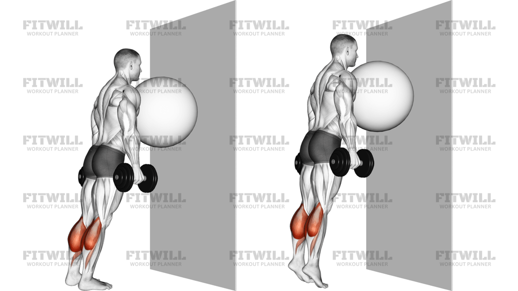 Exercise Ball On The Wall Calf Raise