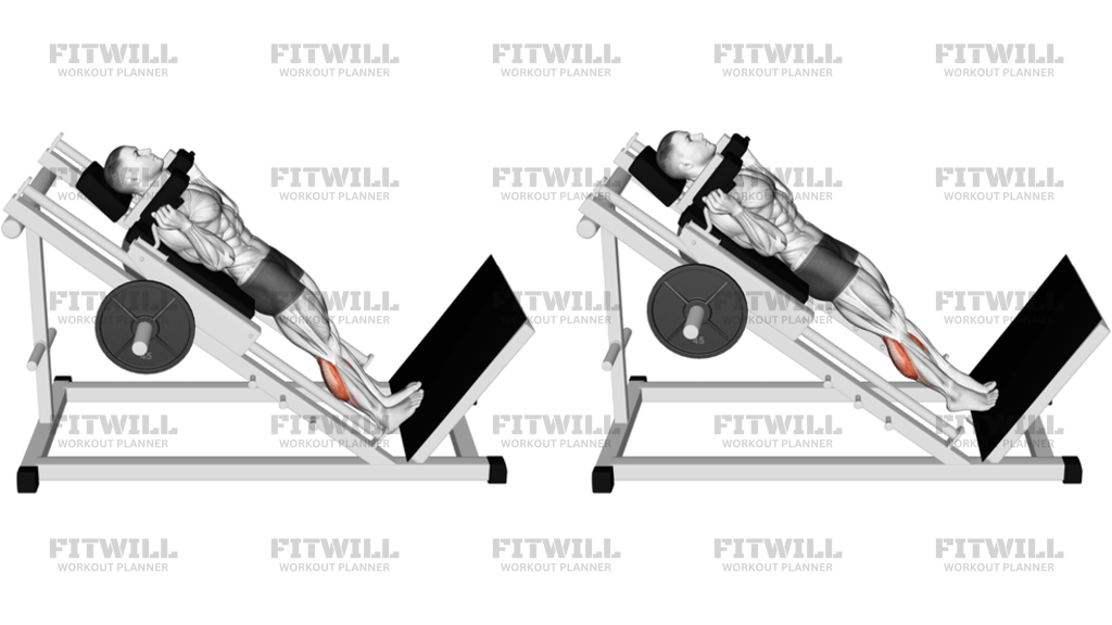 Hack Calf Raise