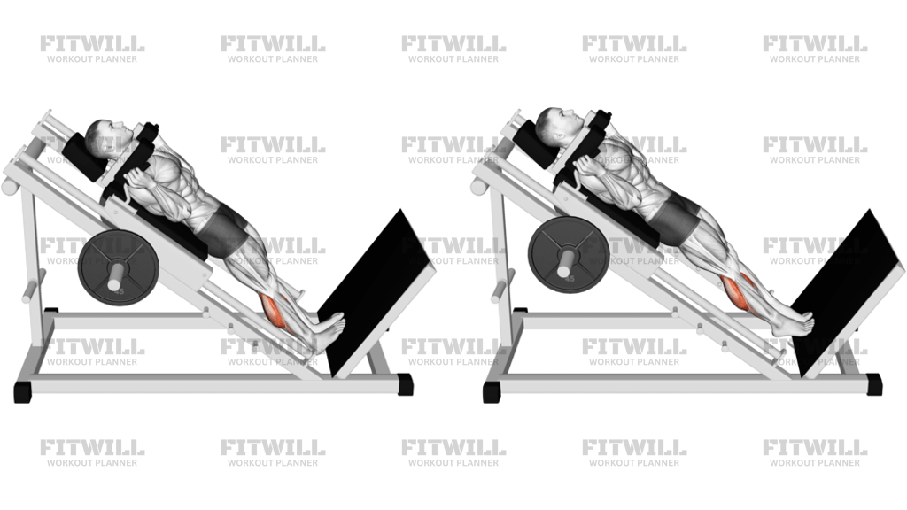 Hack Calf Raise