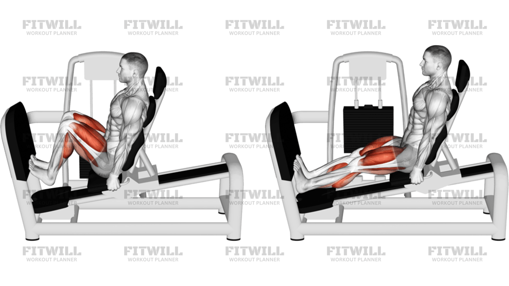 Lever Seated Squat Calf Raise On Leg Press Machine