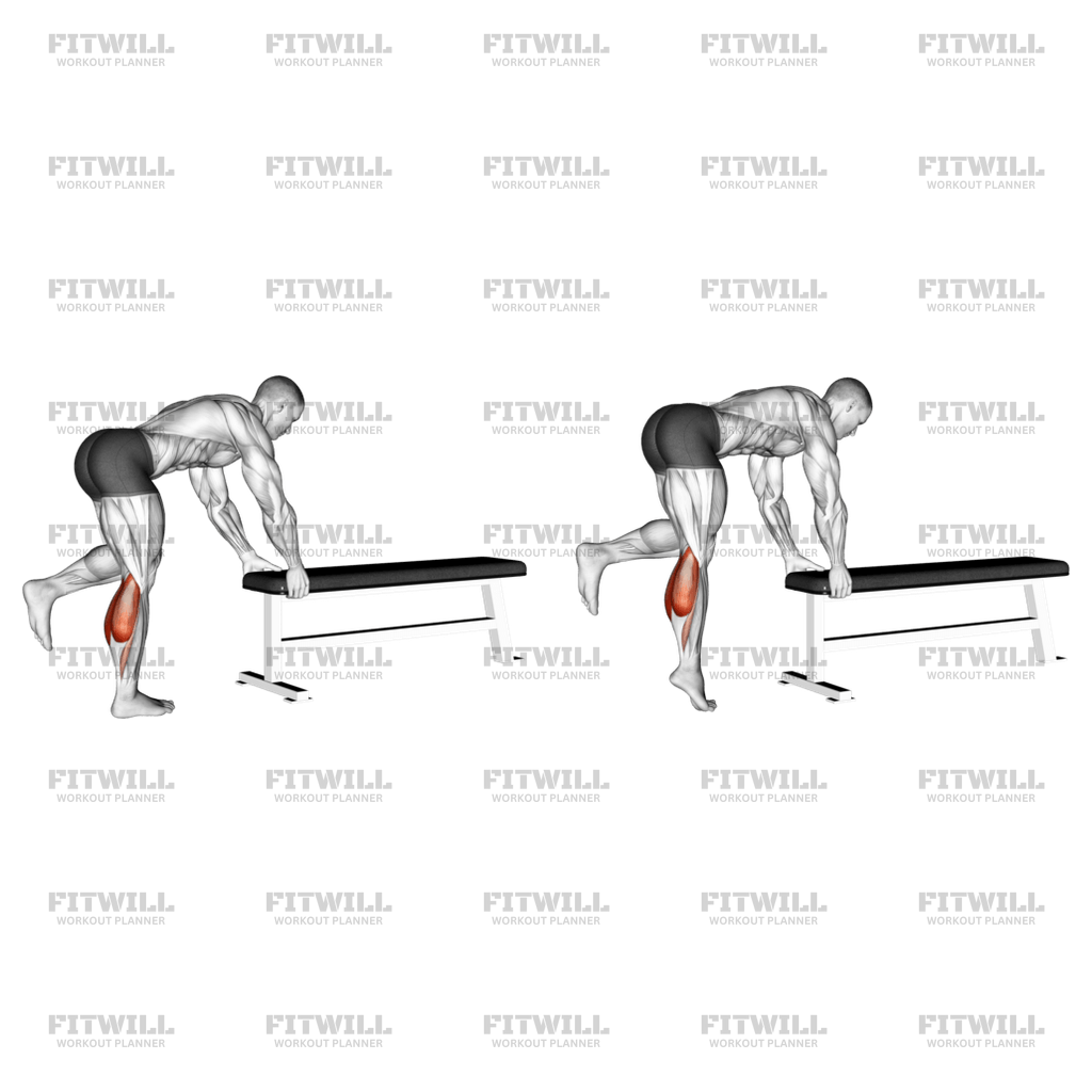 One Leg Donkey Calf Raise Exercise Video Fitwill