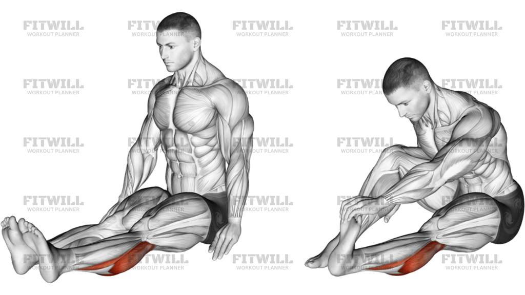 Seated Calf Stretch