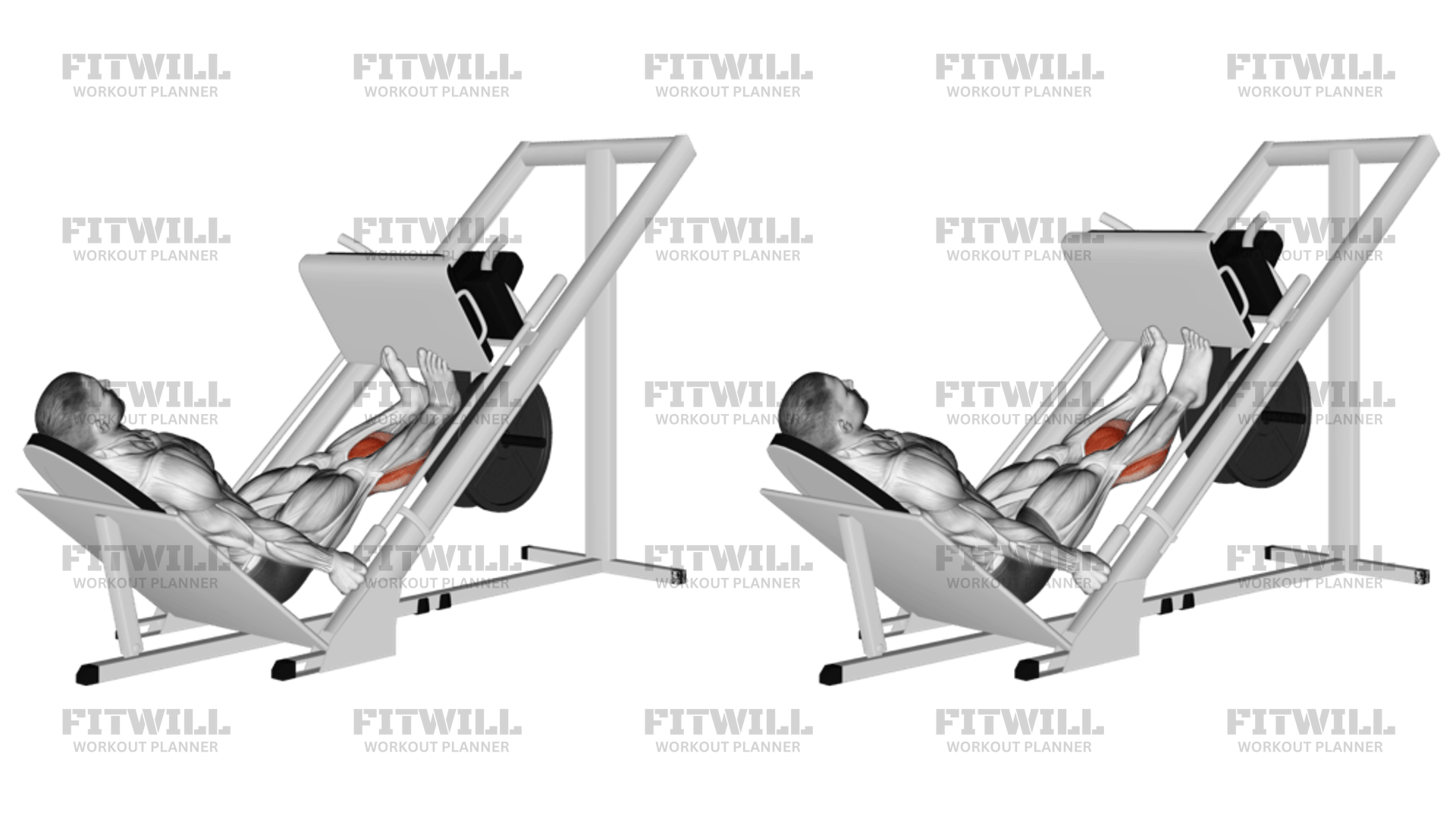 Sled Calf Press On Leg Press Exercise Guide Video Techniques Benefits How to Muscles Worked Tips Tricks Fitwill