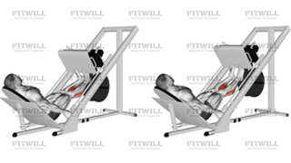 Sled Calf Press On Leg Press