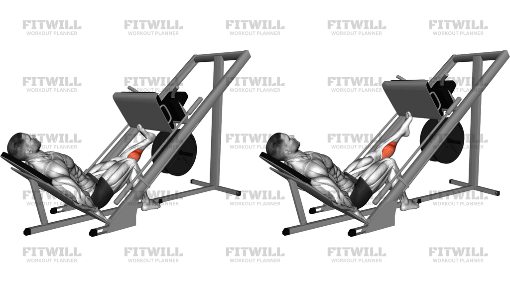 Sled One Leg Calf Press On Leg Press