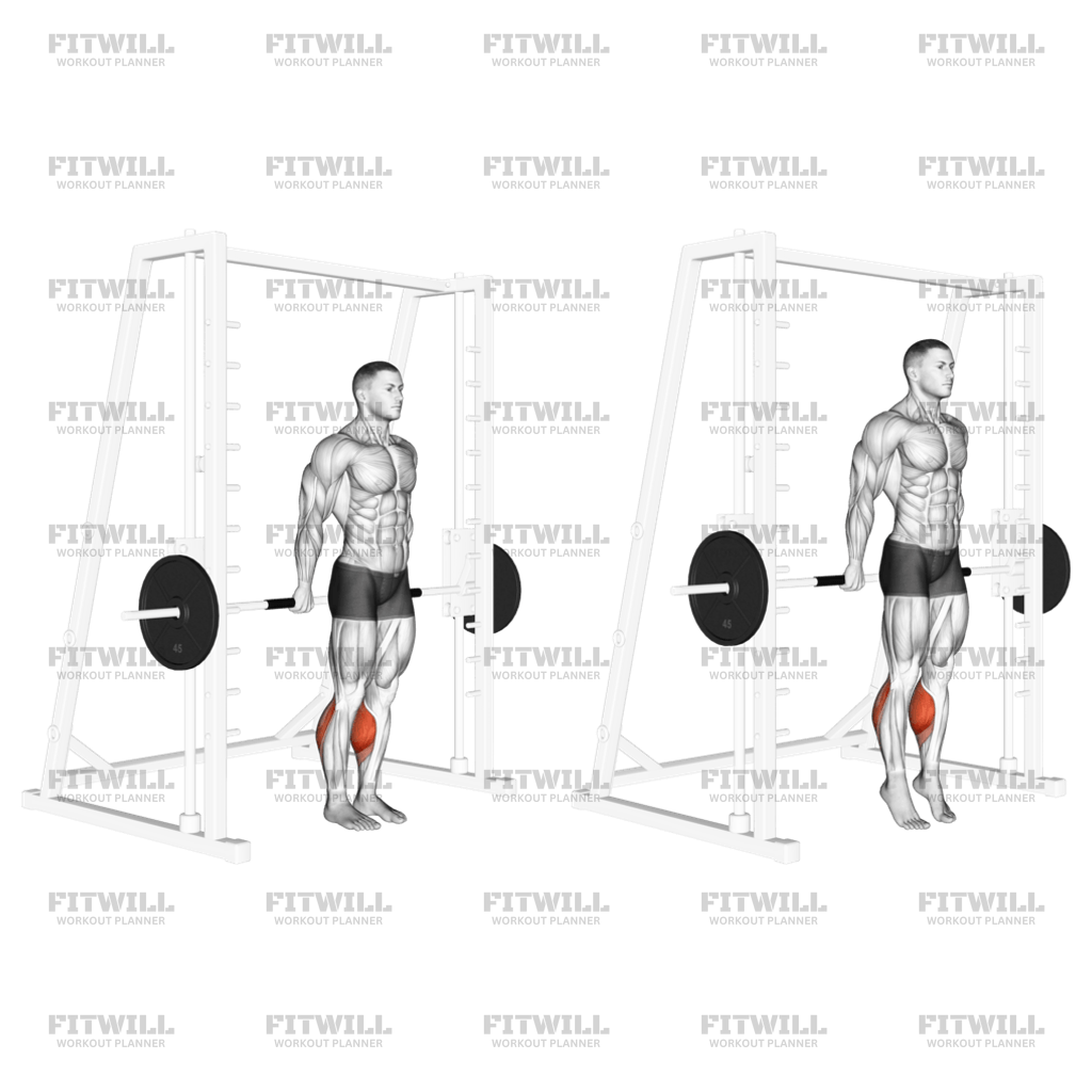 Smith Reverse Calf Raises Exercise Guide Video Techniques Benefits How to Muscles Worked Tips Tricks Fitwill