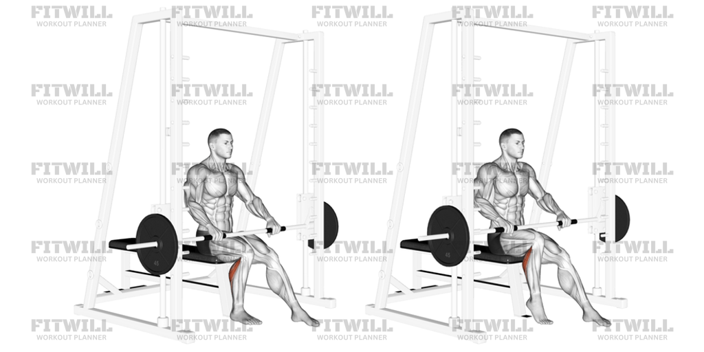 Smith Seated One Leg Calf Raise: Exercise Guide, Techniques, Benefits ...
