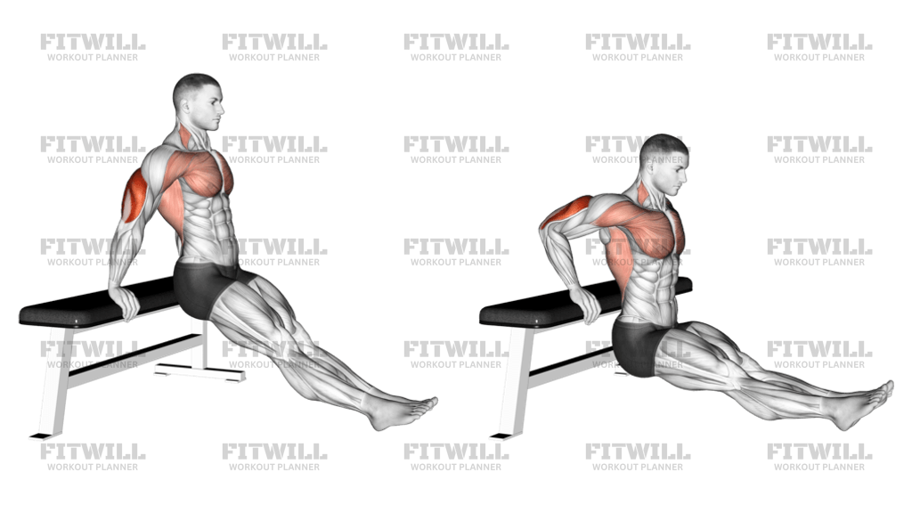 Bench Dip On Floor Exercise Video Fitwill