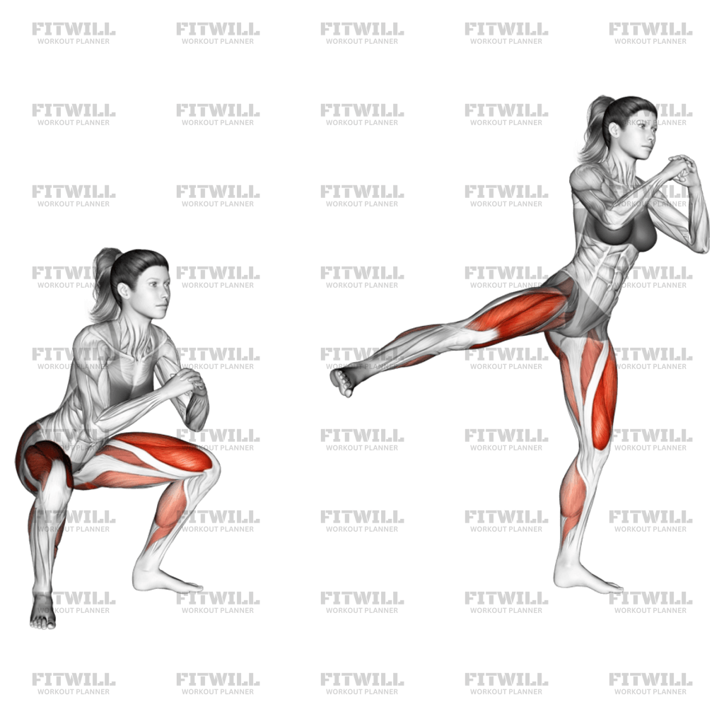 Squat Side Kick Exercise Video Fitwill