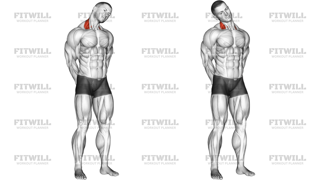 Neck Side Stretch