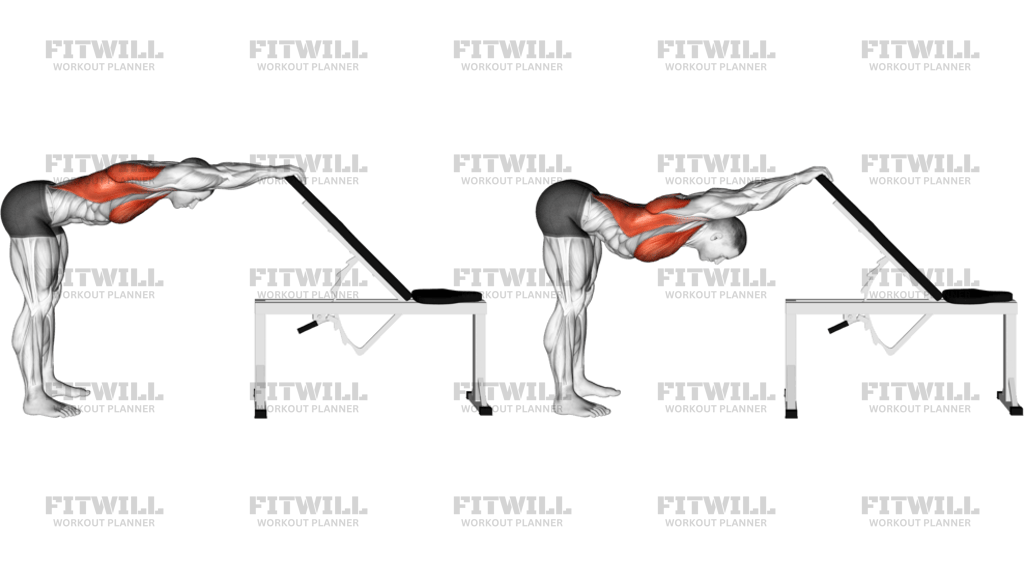 Back Pec Stretch